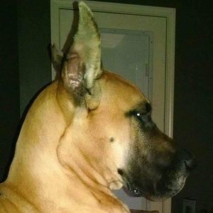 Meet your Posher, Vickie